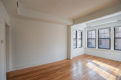 1057 N Oakley Blvd unit 2S, Chicago, IL 60622 - photo 5