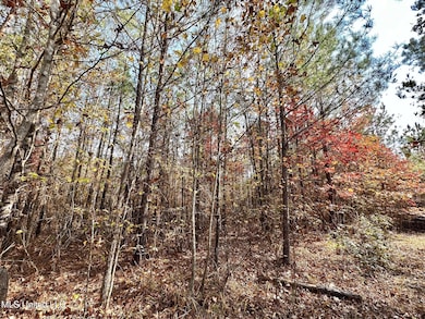 5 County Road 3122, McCool, MS 39108 - photo 3