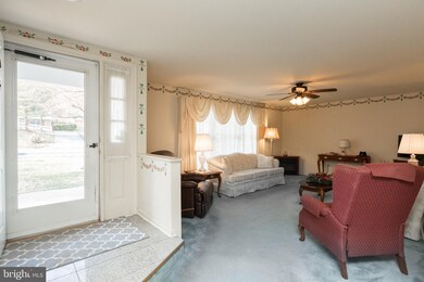 424 W Duck St, Front Royal, VA 22630 - photo 7