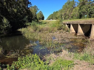 312 County Road 174, Jasper, TX 75951 - photo 5