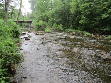 river view