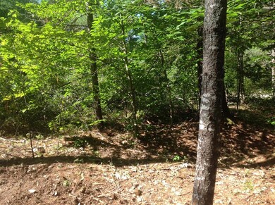 0 Birchwood Farm Rd, Freedom, NH 03836 - photo 4