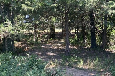 TBD5 County Rd 141, Callisburg, TX 76240 - photo 6