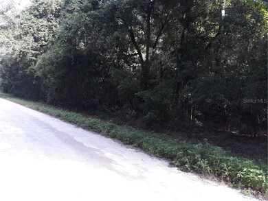 Lot 5 SW Alabama Glen, Fort White, FL 32038 - photo 4