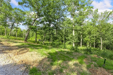 Lot 75 Restore Ridge, Harrison, AR 72601 - photo 3