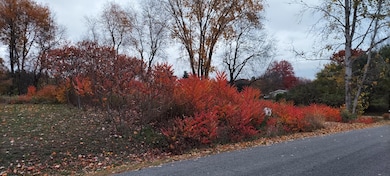 20221026_184843 (002)