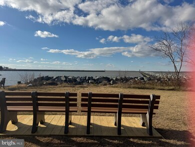 0 Mad Calf Ln unit 321, Nanticoke, MD 21840 - photo 6