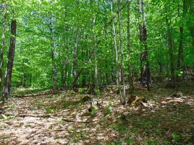 00 Goss Hill Rd, Barnet, VT 05821 - photo 6