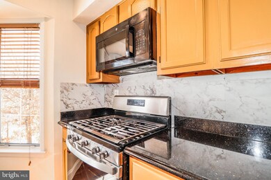 116 Rainier Ct unit 9, Princeton, NJ 08540 - photo 5