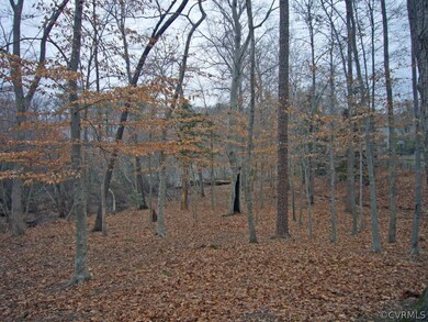 View from the homesite