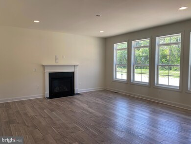 27015 Whistling Duck Way, Milton, DE 19968 - photo 3