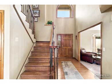 Soaring entry. Wrought iron railing on stairs