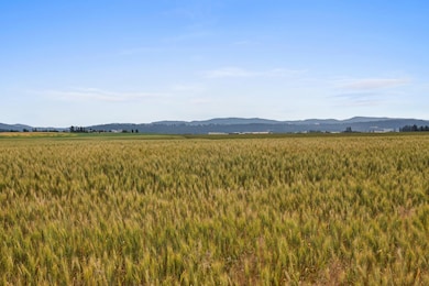 NKA N Bruce Rd unit Lot 3, Mead, WA 99021 - photo 5