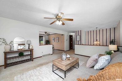 4836 W Pleasant St, Davenport, IA 52804 - photo 4