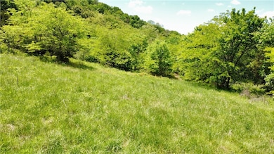 642 County Road 605, Green Forest, AR 72638 - photo 6