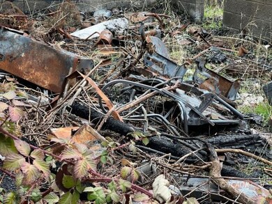 Debris in yard