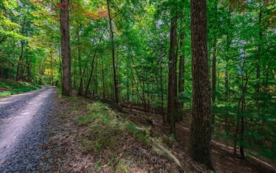 1251 Picklesimer Mountain Trail, Morganton, GA 30560 - photo 4