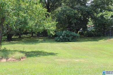 1021 Chalkville School Rd, Center Point, AL 35215 - photo 4