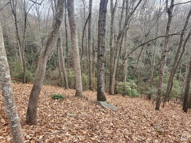 145 Ivywood Ln unit 10, Laurel Park, NC 28739 - photo 6