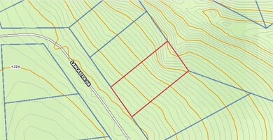 8 Lancaster Dr, Bella Vista, AR 72715 - photo 4