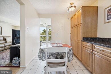 Chelsea Towers unit 501, Bethesda, MD 20817 - photo 4