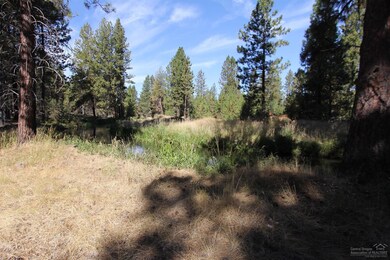 19600 Manzanita Ln, Bend, OR 97702 - photo 4