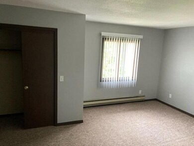 15 W Warren St unit 3, Princeton, IL 61356 - photo 5