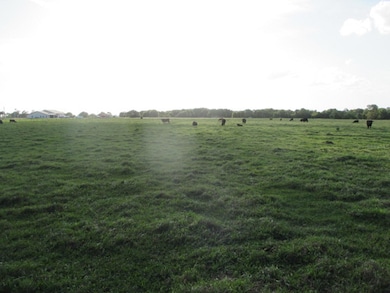 TBD NE 168th St, Okeechobee, FL 34972 - photo 3