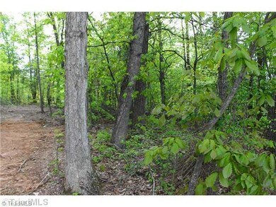 1.379ac Wilkesboro Hwy, Statesville, NC 28625 - photo 4
