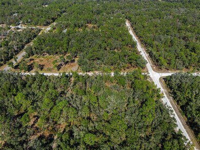 00 Norway St, Webster, FL 33597 - photo 6