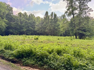 Lark Road 2