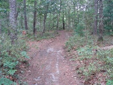 6 Duckies Way, Falmouth, MA 02536 - photo 5