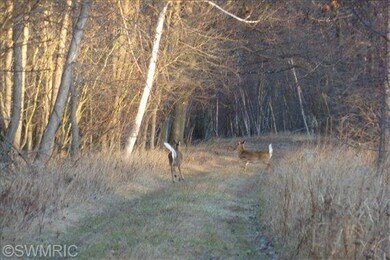 0 S Santiago Rd unit 14029177, Au Gres, MI 48703 - photo 3