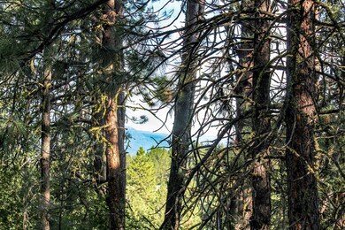 View of the Mountains