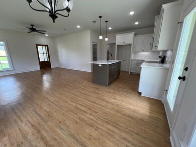 112 E Bartlet Way, Hattiesburg, MS 39402 - photo 3