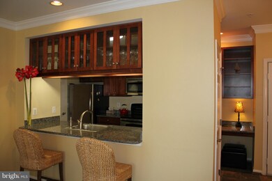 68 Regatta Bay Ct unit 307, Annapolis, MD 21401 - photo 6