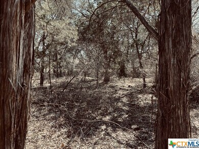 13184 Harbor Dr, Temple, TX 76502 - photo 4