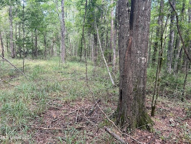 00 Raymond Rd, Hazlehurst, MS 39083 - photo 6