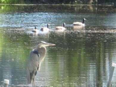 39 N Buffumville Shore Rd, Charlton, MA 01507 - photo 2