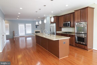 25096 Green Mountain Terrace, Aldie, VA 20105 - photo 3