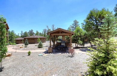 Common Area-BBQ Grill