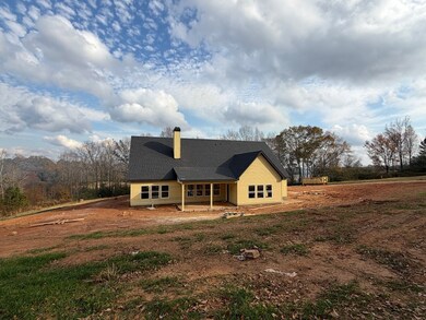 74 County Road 63, Ranburne, AL 36273 - photo 7