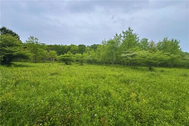 View of Field, From Behind Reffner's Tire