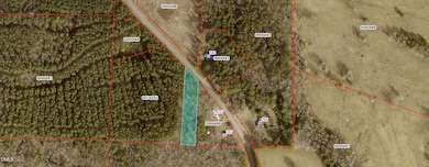 0 Martin Loop Rd, Siler City, NC 27344 - photo 2