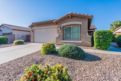 1046 Empress Tree Ave, San Tan Valley, AZ 85140 - photo 7