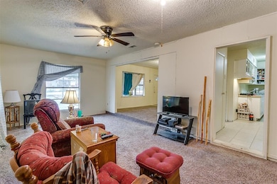 816 Lakewood Dr, Alvarado, TX 76009 - photo 6