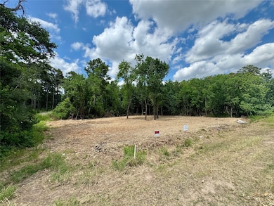 0 W Hardy 31b Rd unit 68248209, Houston, TX 77073 - photo 3