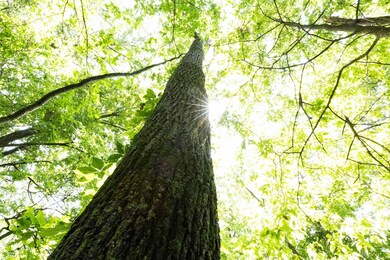 TBD Driftwood Blvd, Bloomfield, IA 52537 - photo 4