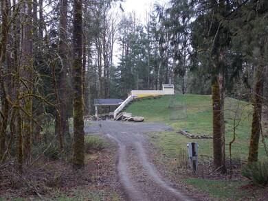 17039 Russian Hill Ln SE, Rainier, WA 98576 - photo 3