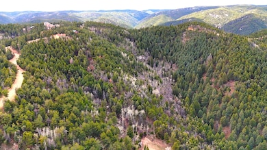 13511 S Firedog Way, Larkspur, CO 80118 - photo 2